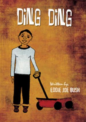 Cover of the book Ding Ding by Susan Nemeth