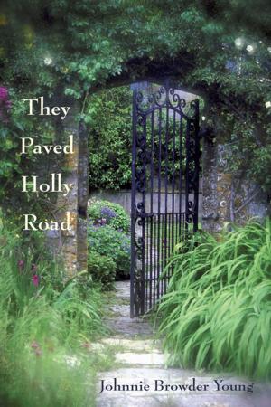 Cover of the book They Paved Holly Road by Jery Tillotson
