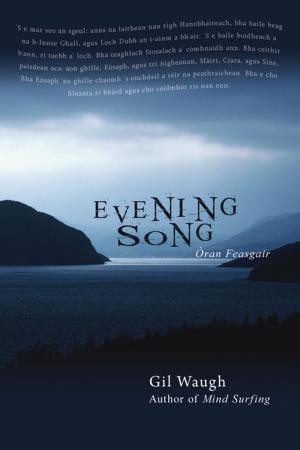 Cover of the book Evening Song by Fred C. Wexler