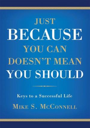 Cover of the book Just Because You Can Doesn't Mean You Should by Stephen Ross