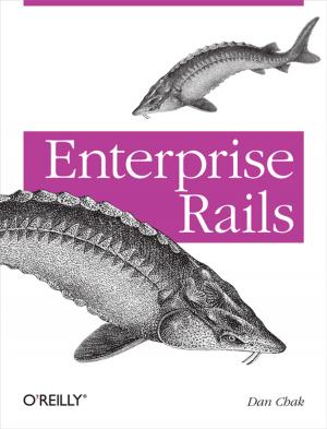Cover of the book Enterprise Rails by James Kalbach