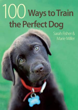 bigCover of the book 100 Ways to Train the Perfect Dog by 