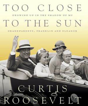 Cover of the book Too Close to the Sun by Cliff Sloan, David McKean