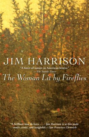 Cover of the book The Woman Lit by Fireflies by Jamie Quatro