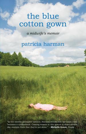Cover of the book The Blue Cotton Gown by Lisa Duggan