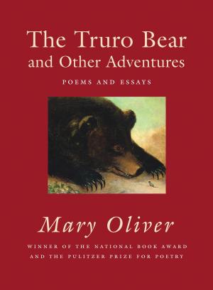 Cover of the book The Truro Bear and Other Adventures by Angélica Panes
