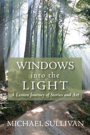 Book cover of Windows into the Light