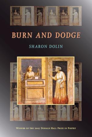 Cover of the book Burn and Dodge by James F. Stark