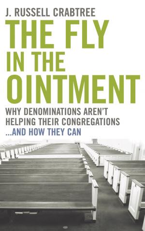 Cover of The Fly in the Ointment