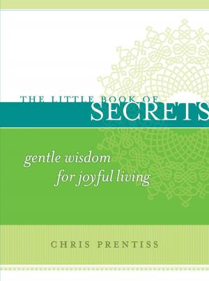 Book cover of The Little Book of Secrets