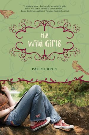 Book cover of The Wild Girls