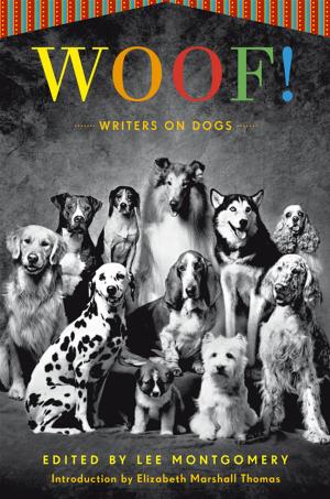 Cover of the book Woof! by C. Y. Lee