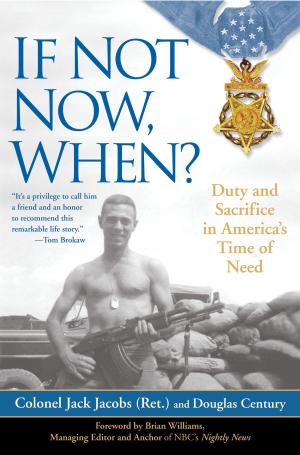 Cover of the book If Not Now, When? by Susan Furlong