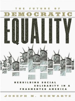 Cover of the book The Future Of Democratic Equality by Andrew Woolley, John Kitchen