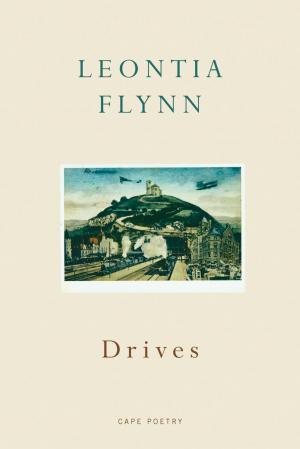 Book cover of Drives