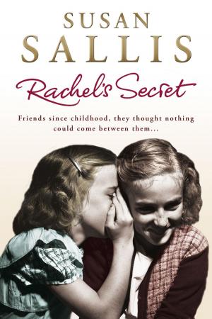 Book cover of Rachel's Secret