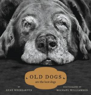Cover of the book Old Dogs by Martin Cruz Smith