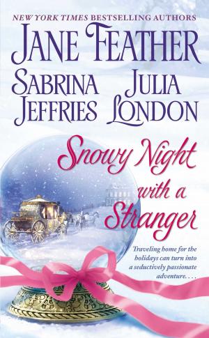 Cover of the book Snowy Night with a Stranger by JoAnn Ross