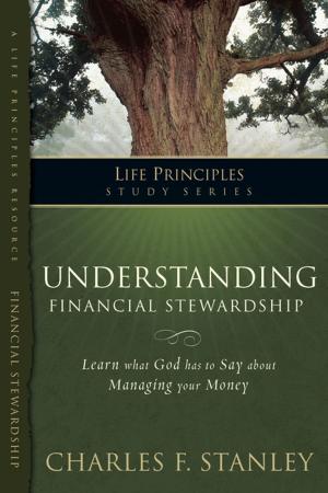 Cover of the book Understanding Financial Stewardship by Jen Hatmaker