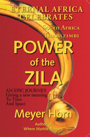 Cover of the book Power of the Zila by Mike Lira
