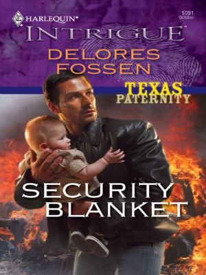 Cover of the book Security Blanket by R.L. Naquin