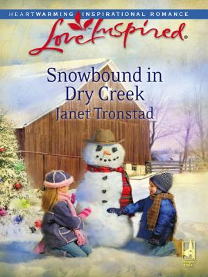 Cover of the book Snowbound in Dry Creek by Shirlee McCoy