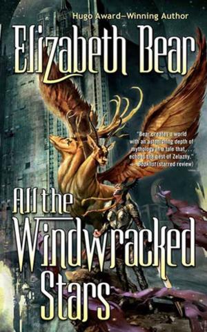 Cover of the book All the Windwracked Stars by P. J. Hoover