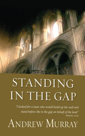 Cover of the book Standing in the Gap (eBook) by Floyd McClung
