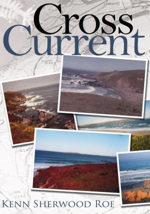Cover of the book Cross Current by Richard Damante