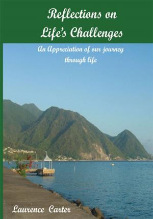 Cover of the book Reflections on Life's Challenges by Barbara Wolfenden
