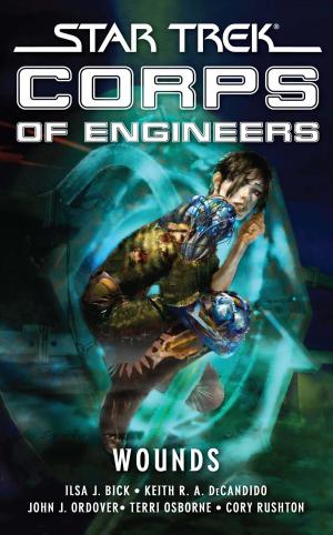 Cover of the book Star Trek: Corps of Engineers: Wounds by Lisa Renee Jones