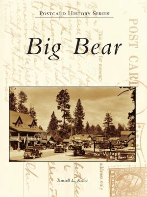 Cover of the book Big Bear by Maryan Pelland, Dan Pelland