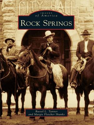 Cover of the book Rock Springs by Patrick H. Stakem