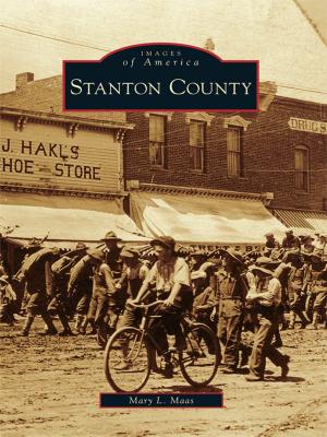 bigCover of the book Stanton County by 