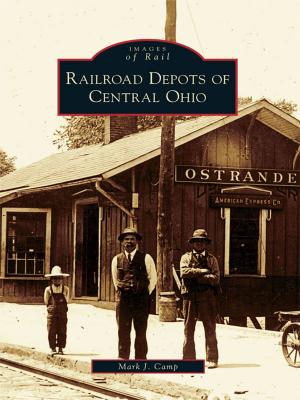 Cover of the book Railroad Depots of Central Ohio by Linda Baulsir, Irwin Miller