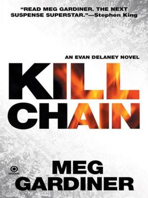 Cover of the book Kill Chain by Robin Paige