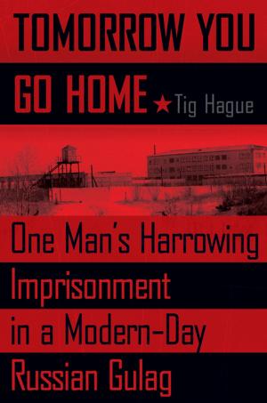 Cover of the book Tomorrow You Go Home by Elliot Perlman