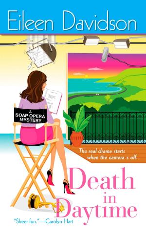 Cover of the book Death In Daytime by Marilyn Byfield Paul