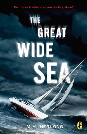 Cover of the book The Great Wide Sea by Steve Karmazenuk