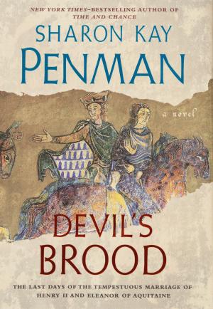 bigCover of the book Devil's Brood by 