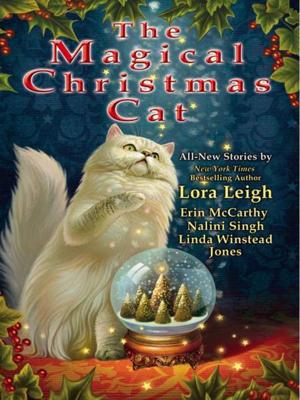Book cover of The Magical Christmas Cat
