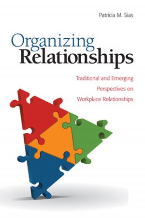 bigCover of the book Organizing Relationships by 