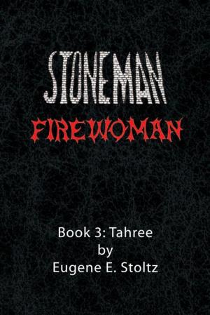 Cover of the book Stoneman Firewoman by Brent Hooey