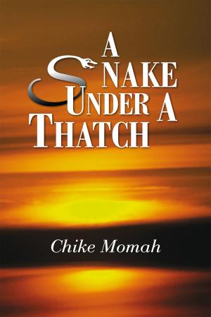 Cover of the book A Snake Under a Thatch by Christina Engela