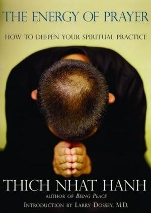 Cover of the book The Energy Of Prayer: How To Deepen Your Spiritual Practice by Young-gi Hong, Joshua