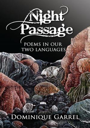 bigCover of the book Night Passage by 