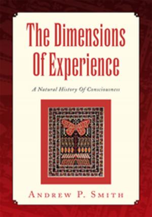 Cover of the book The Dimensions of Experience by Pastor Ikona Abukar
