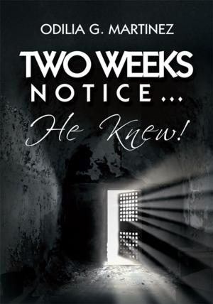 bigCover of the book Two Weeks Notice… by 