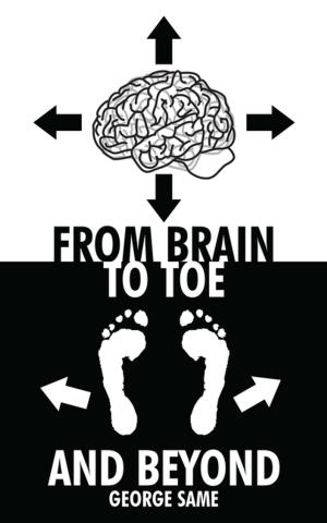 Cover of the book From Brain to Toe and Beyond by David Hay