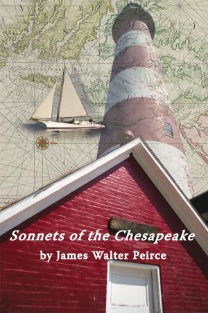 Cover of the book Sonnets of the Chesapeake by Janett Norris Nelson
